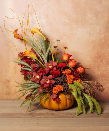 Fall Collection