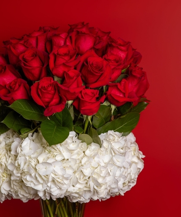 Rose Collection 