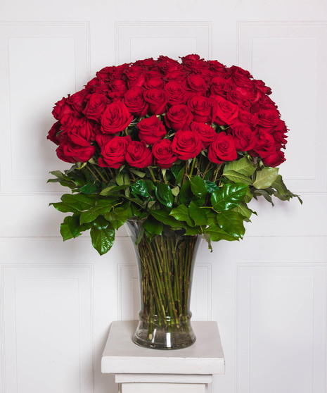 Breathless - 100 Luxury Long Stem Roses