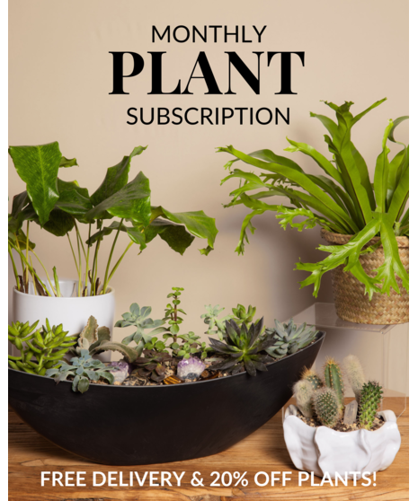 Plant Subscription