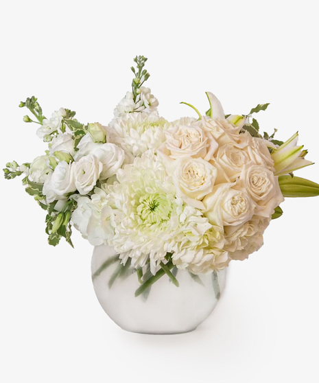 Crisp Ivory