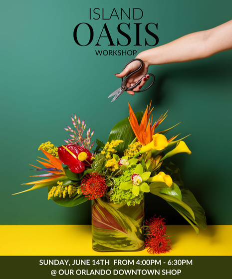 Island Oasis Orlando  - Design Workshop  - June 14th