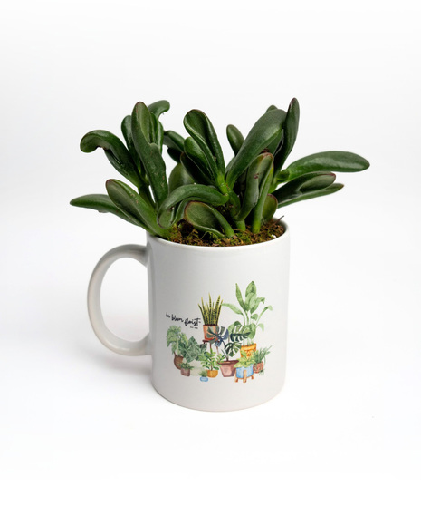Mug of Fortune Plant Mug