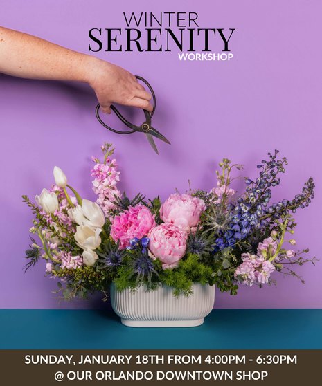 Winter Serenity - Orlando Design Workshop - January 18th