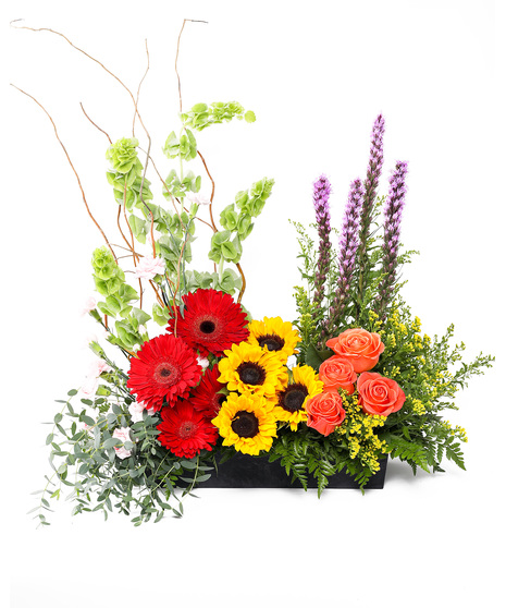 Joyful Sentiments Arrangement