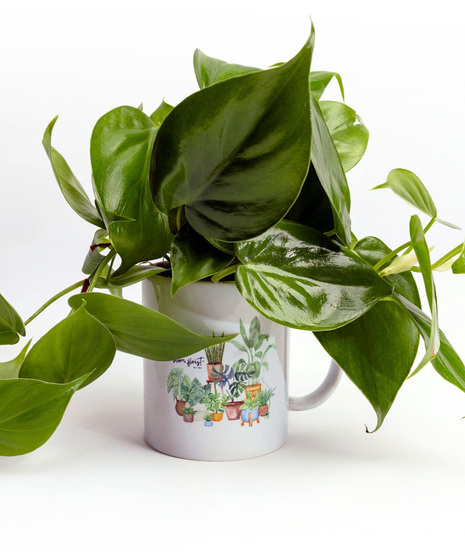 Leafy Desk Plant Mug