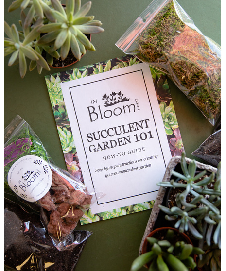 (Virtual) DIY Succulent Garden Kit