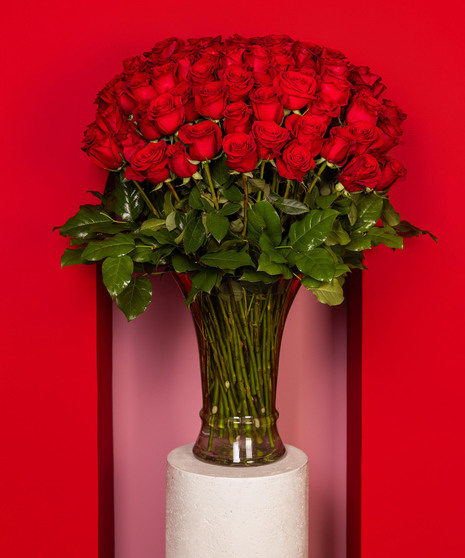 The Breathless - 100 Luxury Long Stem Roses