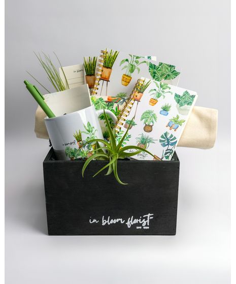 Greens for the Desk Queen