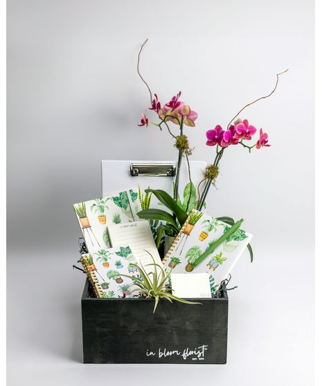 Leaf Your Worries Behind Plant Gift Set