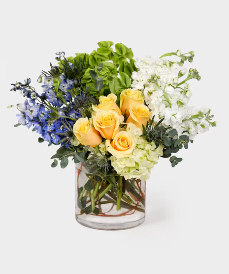 Breeze & Bloom