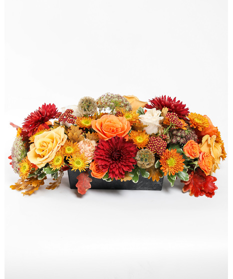 The Trailblazer Centerpiece