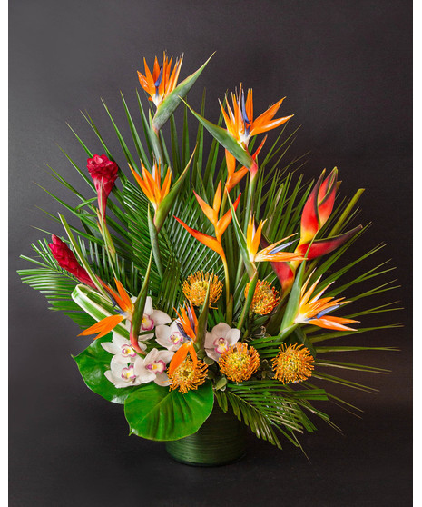 Tropical Luxe
