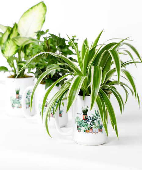 Appreciation Plant Mug