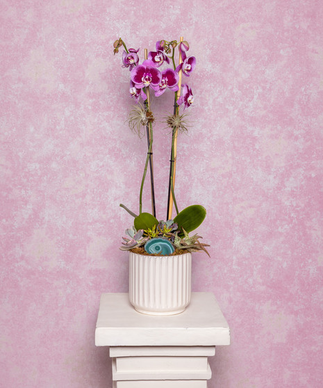 Lavender & Jewels features a rich palette of purple blooms, exuding grace and beauty, presented in a chic purple vase.