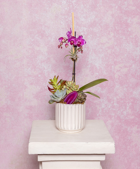 Orchid Essence