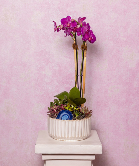 Mother's Day | May 11