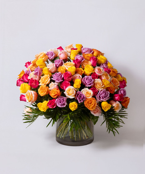 100 Rose Collection