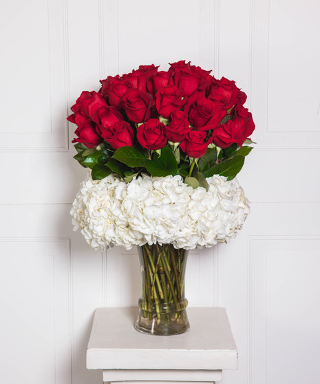 Luxe  - 36 Medium Stem Roses