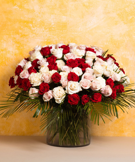 100 Rose Collection