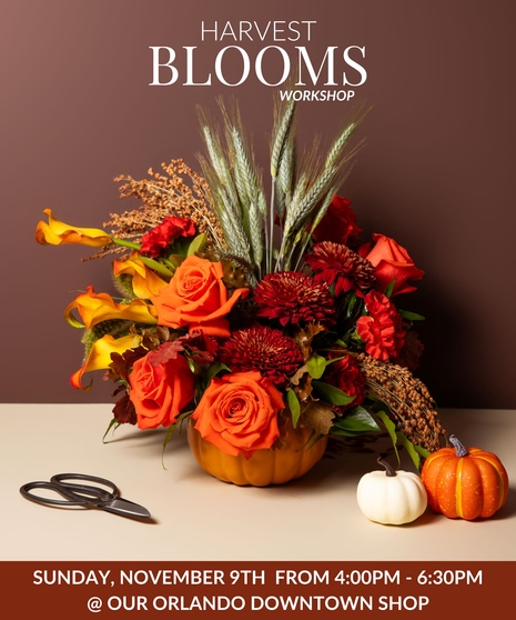 Harvest Blooms - Orlando Design Workshop - November 9th