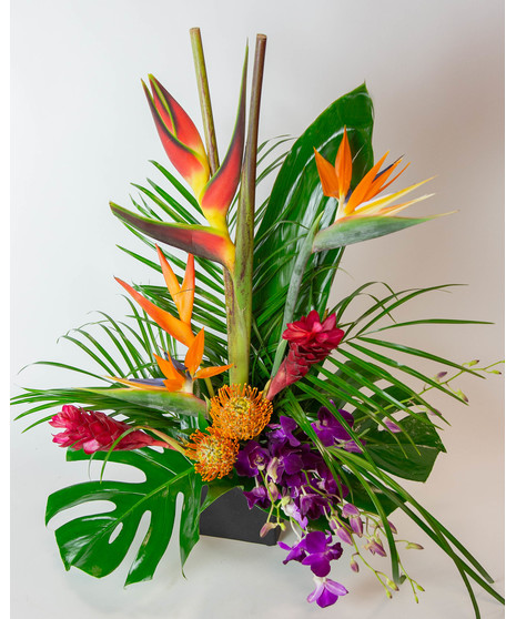 fresh cut monstera leaves, pin cushion proteas, dendrobium orchids, bird of paradise, and and assortment of tropical foliage designed in a modern black ceramic vase. 