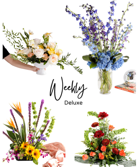 Save 20% and enjoy the convenience of pre-scheduled flower deliveries with a floral subscription and free delivery!