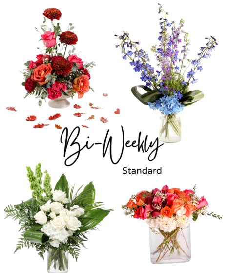 Floral Subscriptions