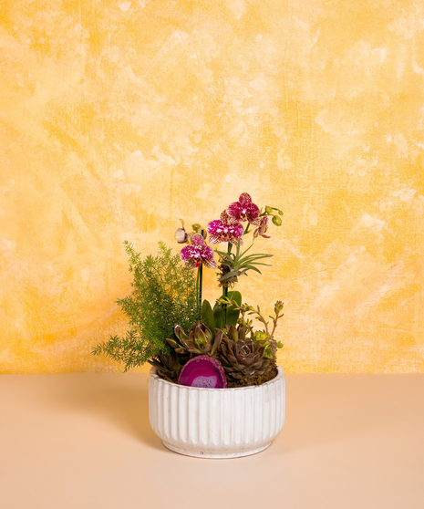 Botanical Beauty - Standard