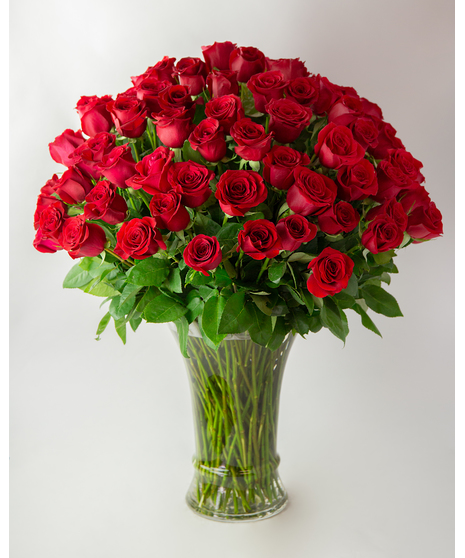 Breathless - 100 Luxury Long Stem Roses