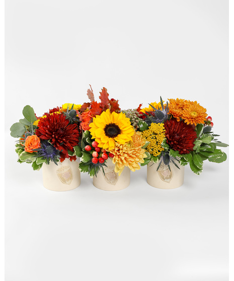 Whether you keep them together to have one long arrangement or spread them apart for three separate ones, the Cross-Country Trio will make for an excellent centerpiece. 
