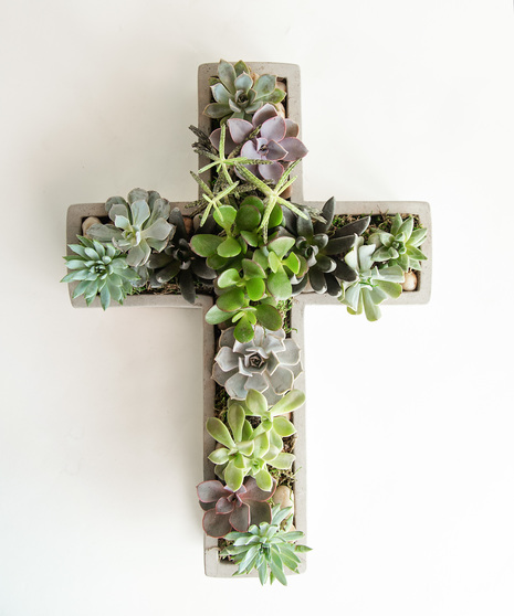 Sympathy Succulents | In Bloom Florist | Orlando, FL | Same-Day Delivery