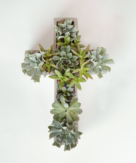 Sympathy Succulents | In Bloom Florist | Orlando, FL | Same-Day Delivery
