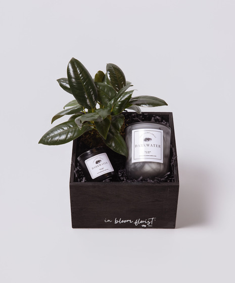 Gifts