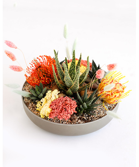 Desert Blooms