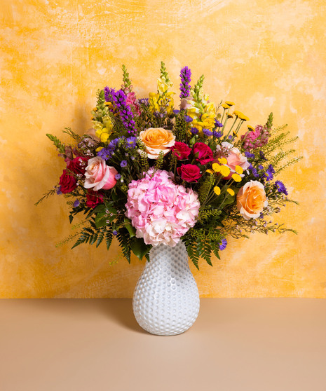 Designer's Choice - Deluxe