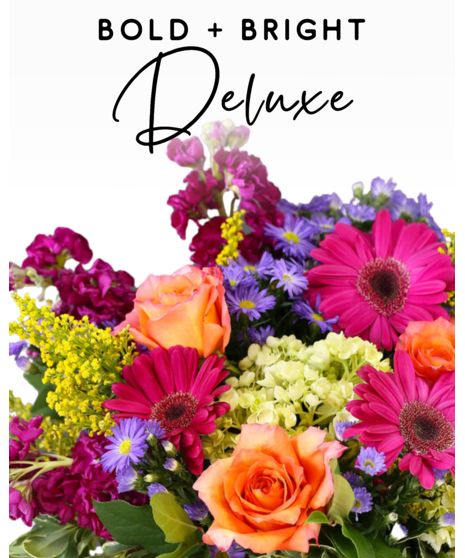 Designer's Choice - Bold + Bright