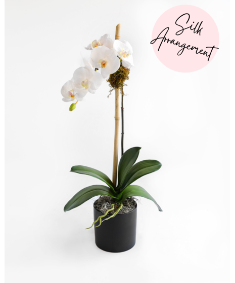 These handcrafted silk orchids are designed to be enjoyed as a forever gift or decor piece in the home. These orchids are comprised of 100% silk floral and greenery. 