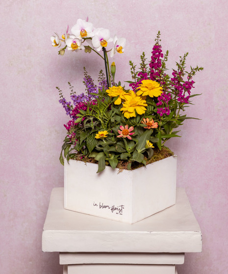 Lavender & Jewels features a rich palette of purple blooms, exuding grace and beauty, presented in a chic purple vase.