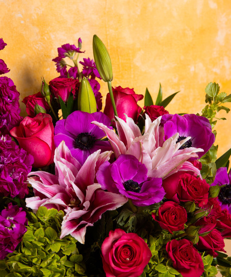 Designer's Choice - Masterpiece