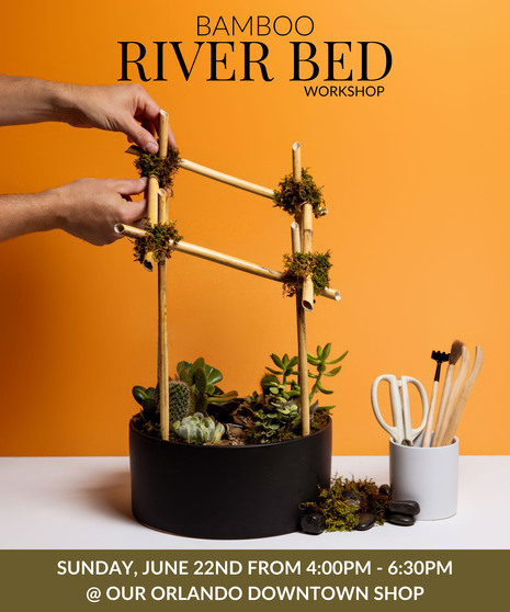 Bamboo Riverbed - Orlando Design Workshop - June 22nd