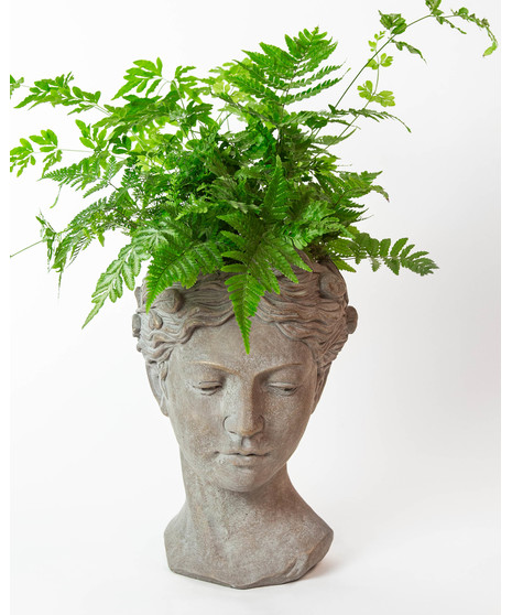 We plant fresh, locally grown ferns in a unique cement lady head