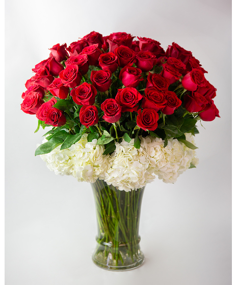 Lavish - 75 Luxury Long Stem Roses