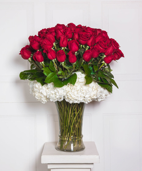 75 luxury long stem beautiful rose blooms