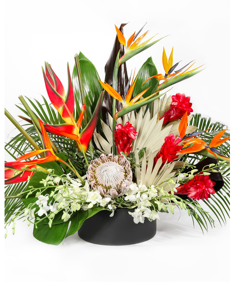 Lush Tropics