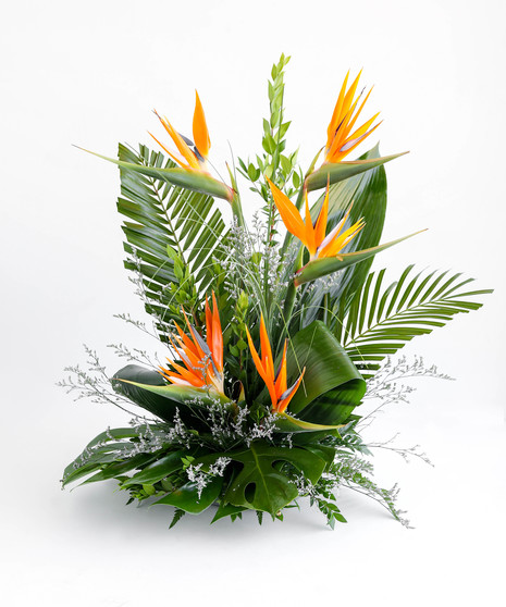A vibrant floral arrangement featuring orange bird-of-paradise flowers and purple orchids, surrounded by large green leaves, placed on a white surface.