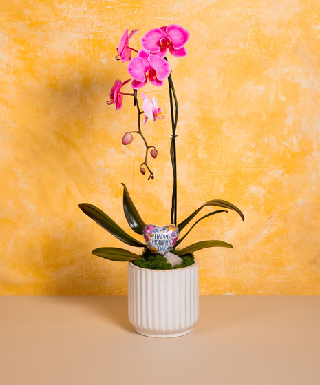 Mom's Orchid - Deluxe