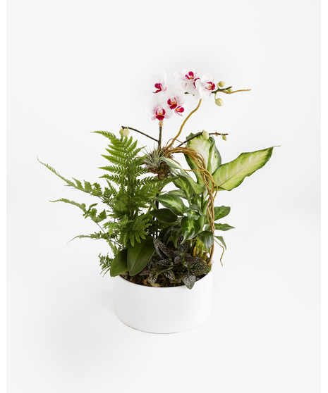 Mother Earth's Orchid Planter - Standard