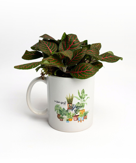 Scarlet Trace Plant Mug