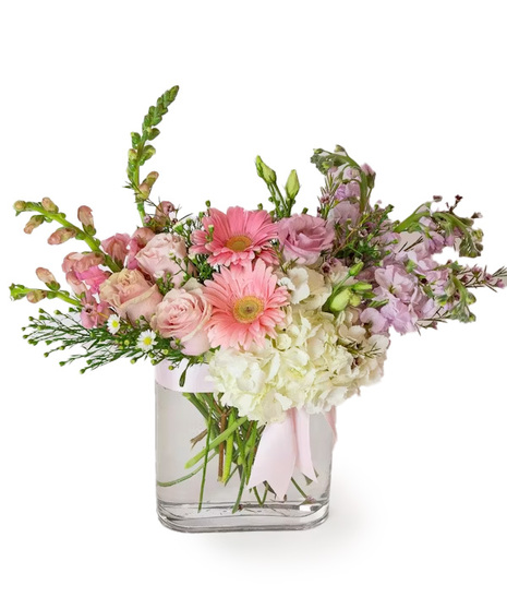 blush and ivory floral includes hydrangea, snapdragons, roses, lisianthus and more, designed in a contemporary thin glass vase and tied with a satin blush bow